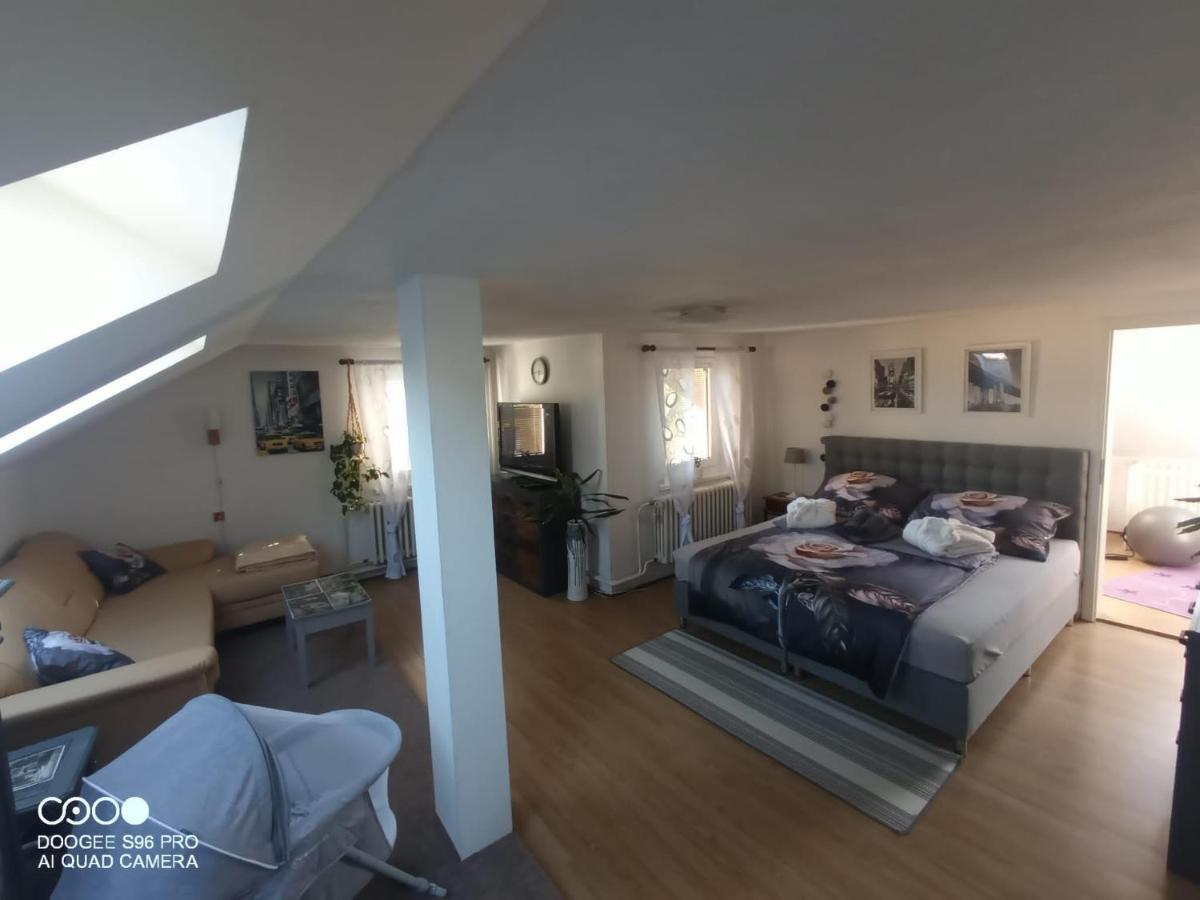 Apartamento Podkrovni Apartman Tereza Rumburk Exterior foto