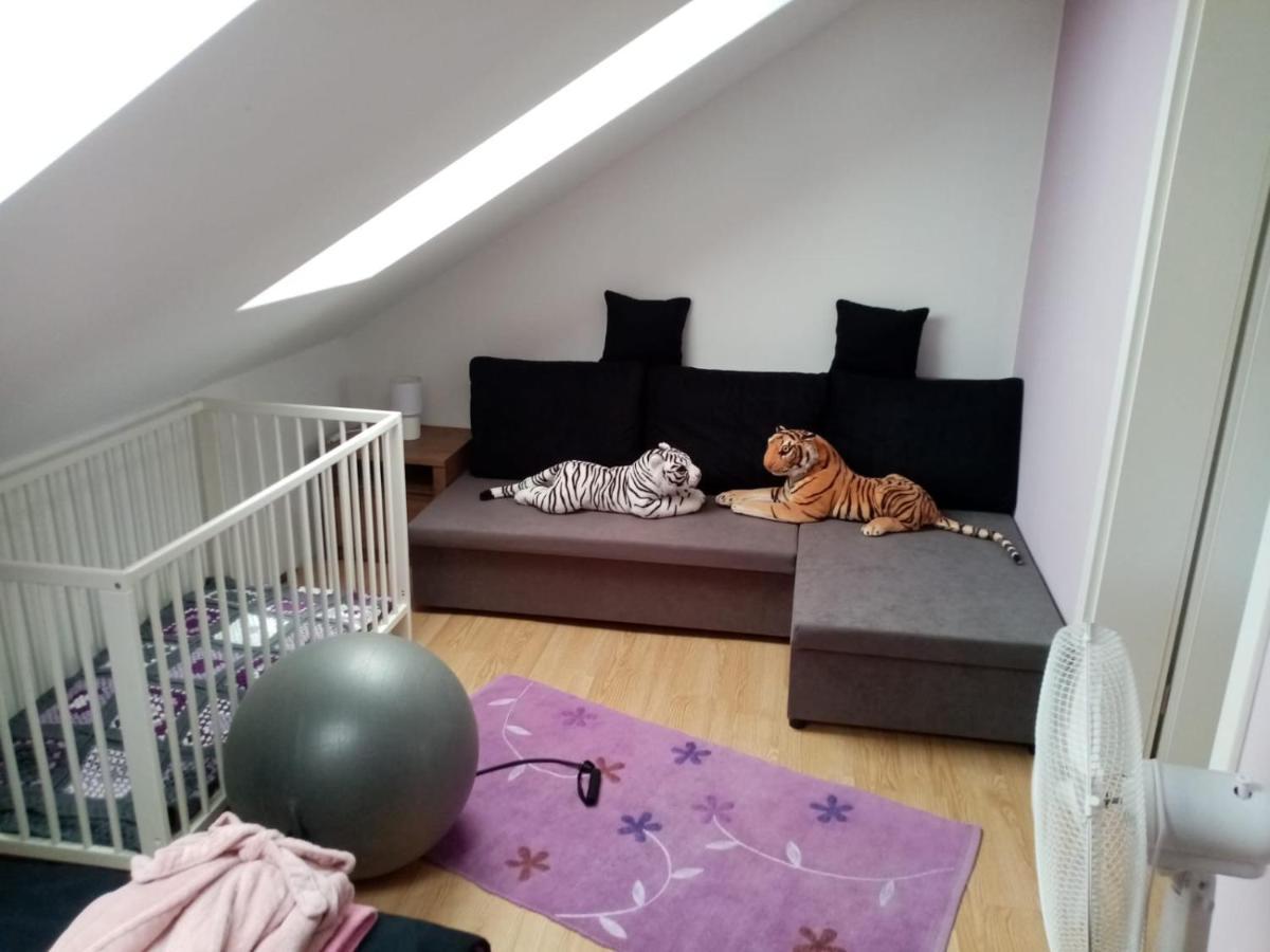 Apartamento Podkrovni Apartman Tereza Rumburk Exterior foto